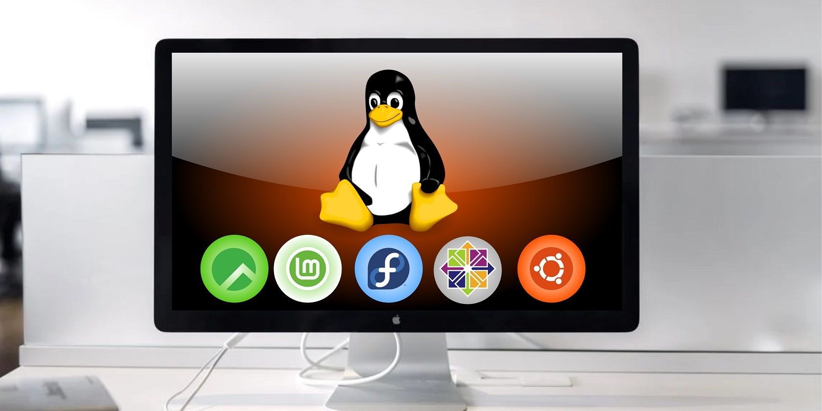 Distrobox: запуск разных дистрибутивов Linux в терминале