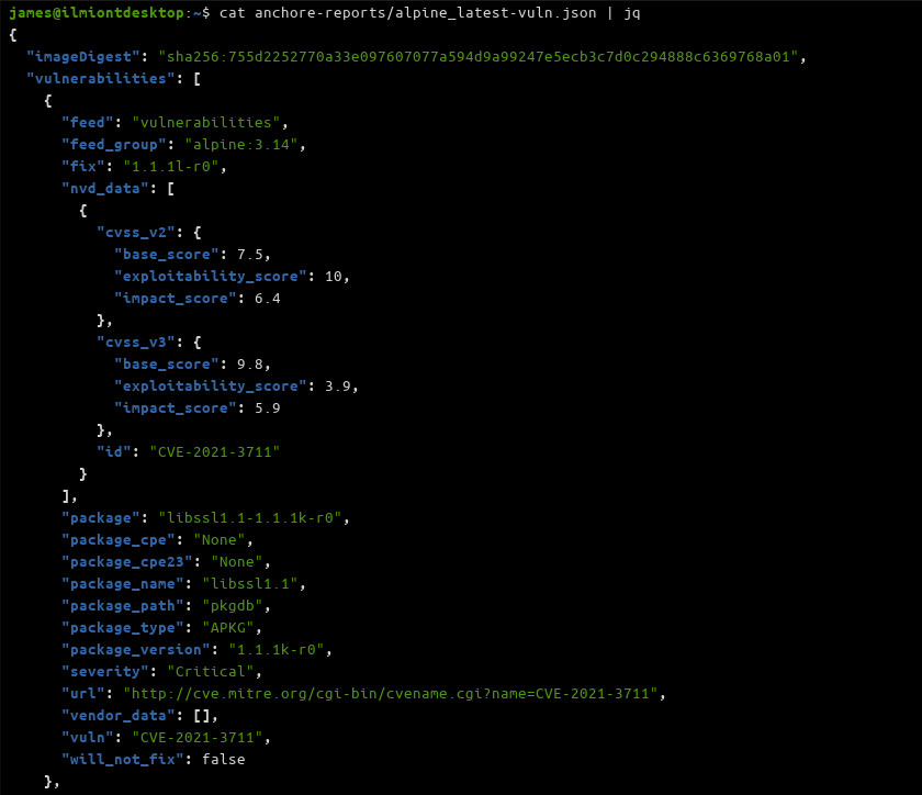 Скриншот: JSON-отчёт Anchore