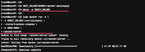 Процесс установки Rancher Server в контейнере