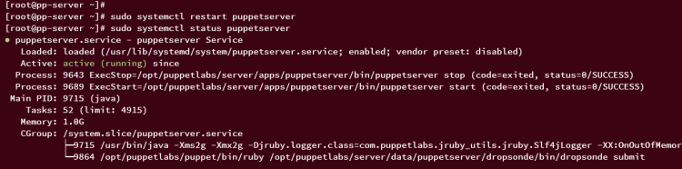 Проверка запуска puppetserver