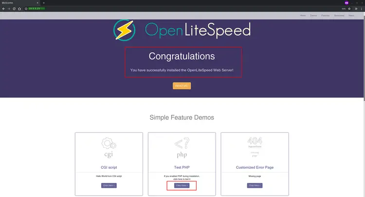 OpenLiteSpeed 기본 인덱스 화면