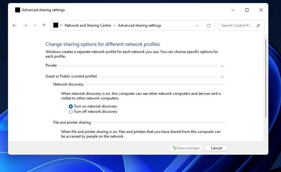 The Turn on network discovery option