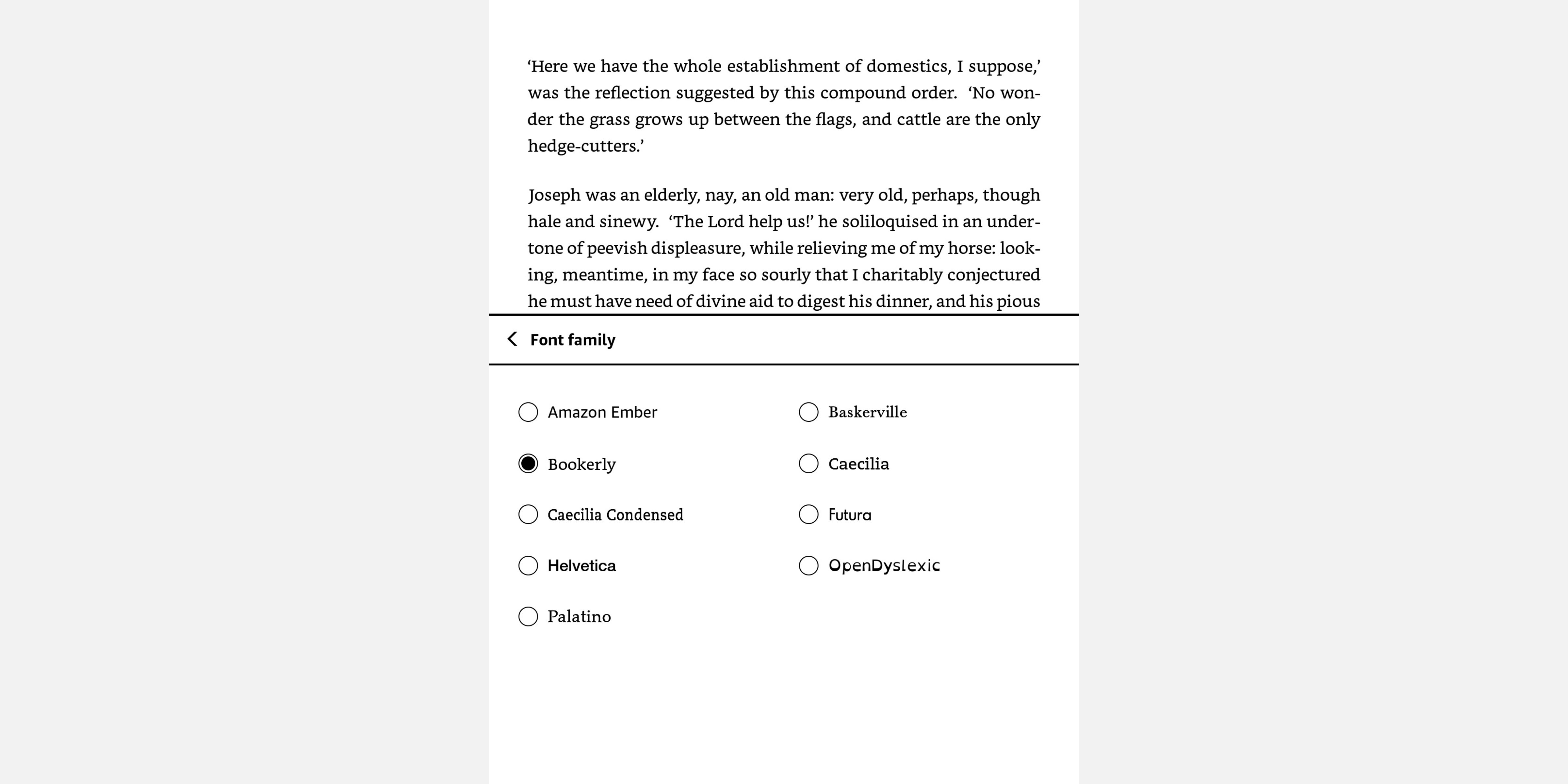 Скриншот меню выбора семейства шрифтов Kindle