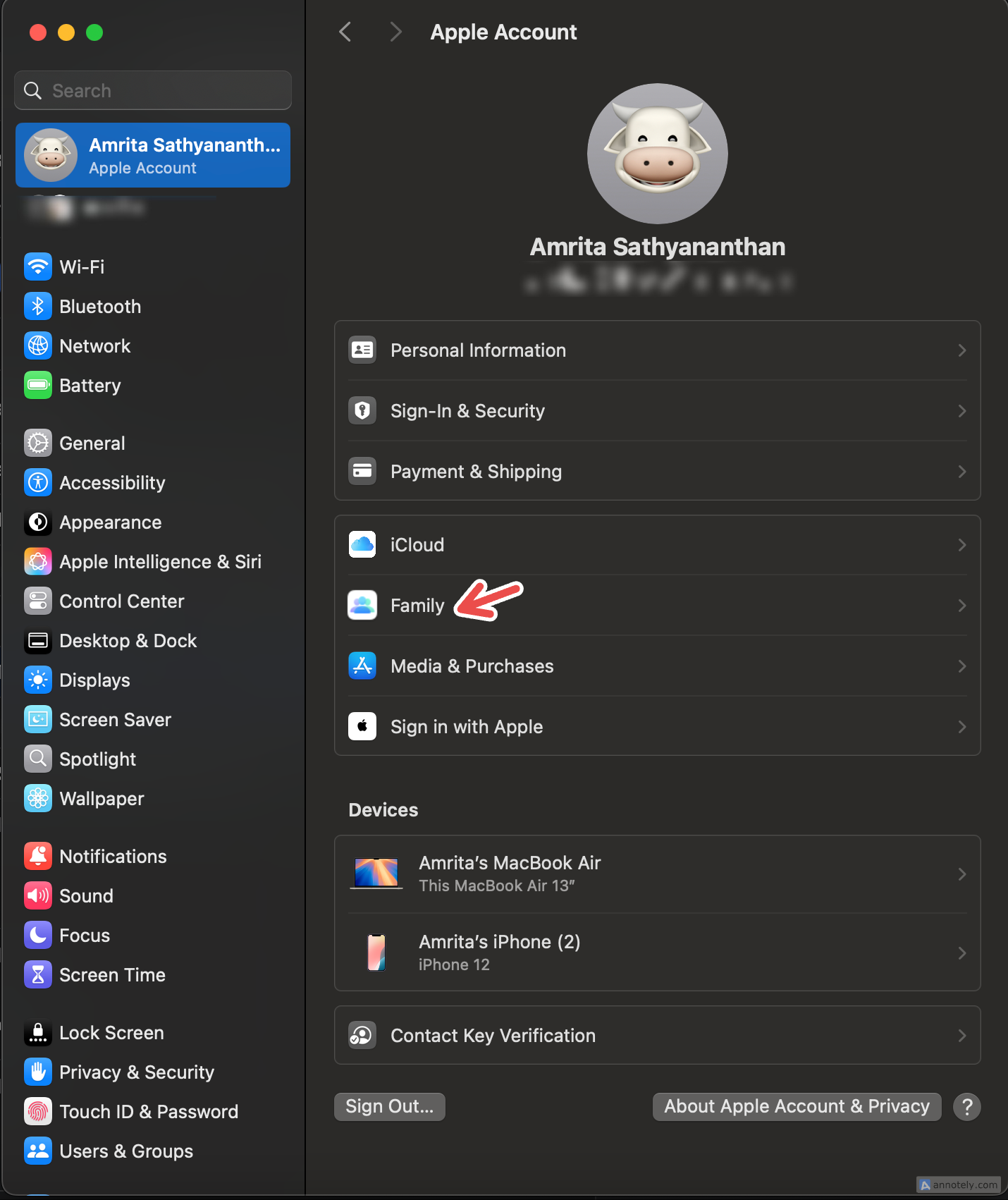Настройка Family Sharing на Mac.