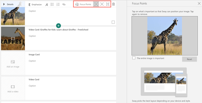 Image emphasis and Focus Points