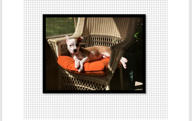 Пример отображения сетки на странице Word