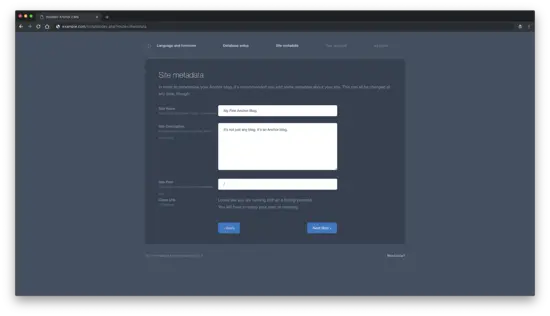 Настройки метаданных сайта в установщике Anchor