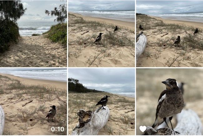 Снимки, сделанные в похожих условиях, лучше подходят для пакетных правок