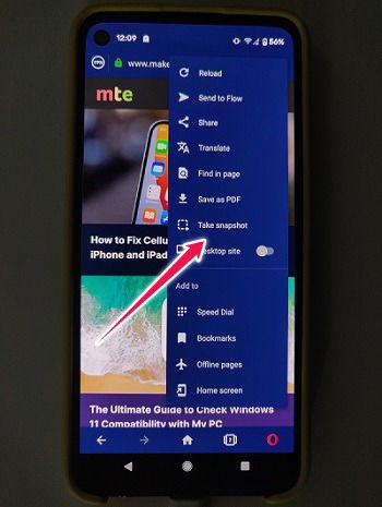 Команда Сделать снимок в Opera