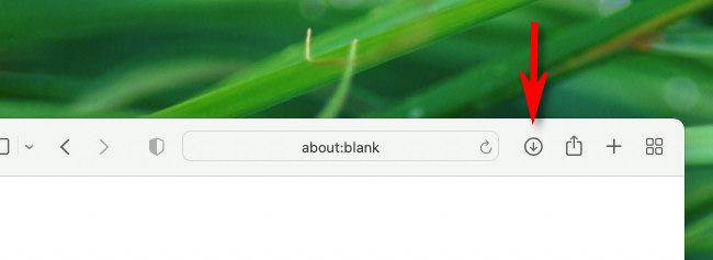 В Safari на Mac нажмите значок загрузок на панели инструментов.