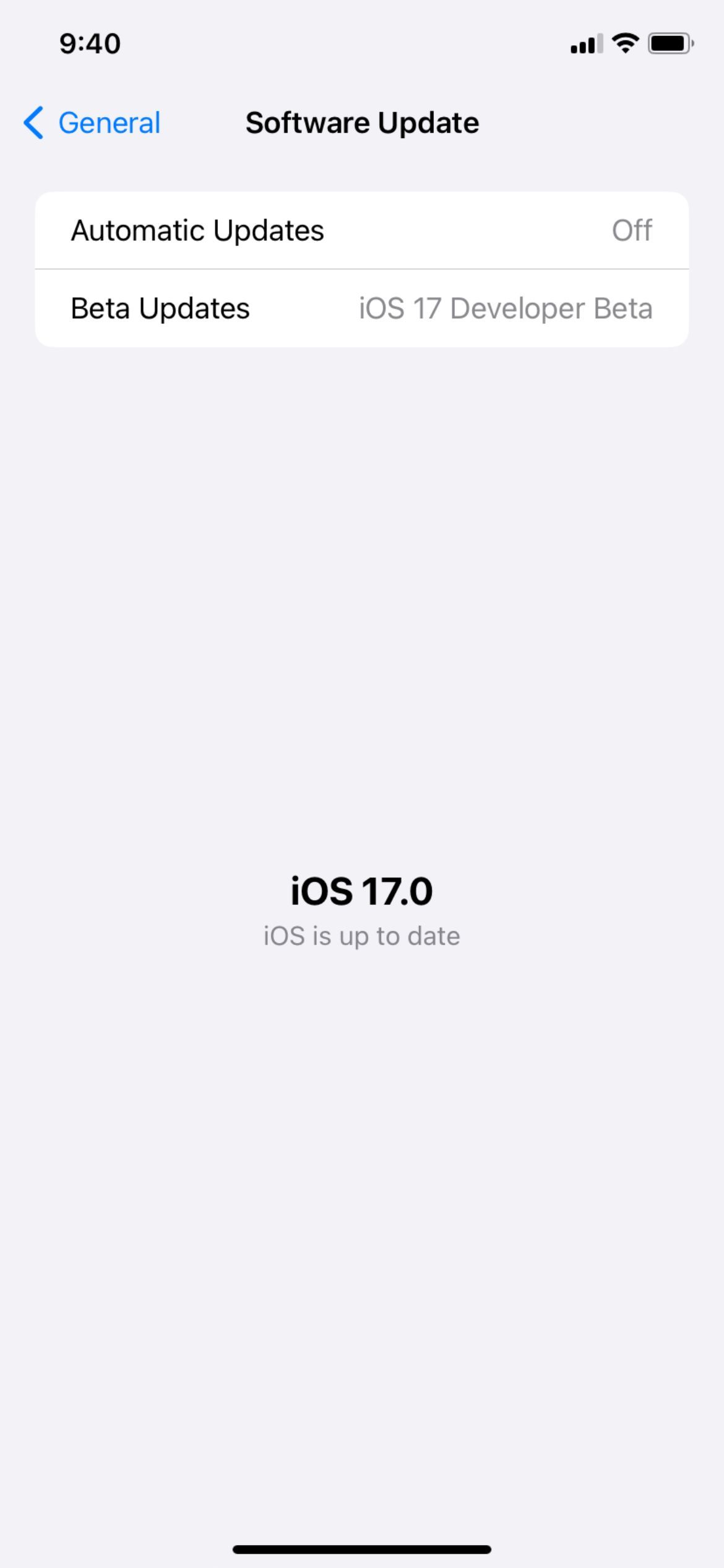 iPhone Settings Software Update