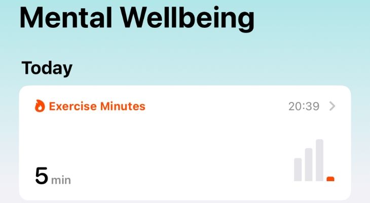 Лог минут упражнений в приложении «Здоровье».