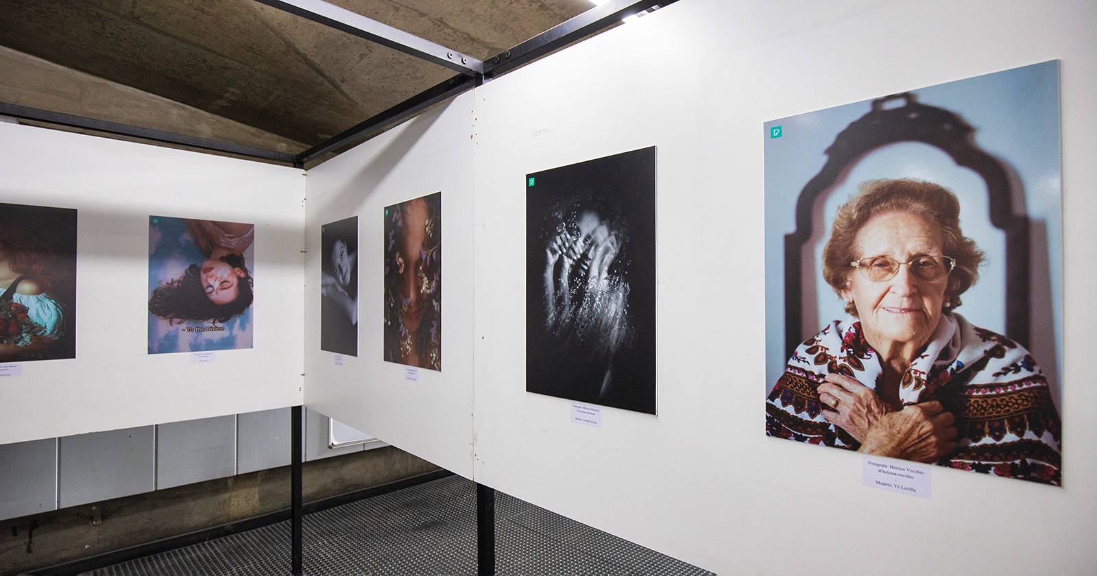 Как показать фотографии в художественной галерее