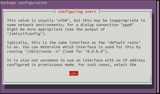 Экран предварительной конфигурации Snort в терминальном установщике