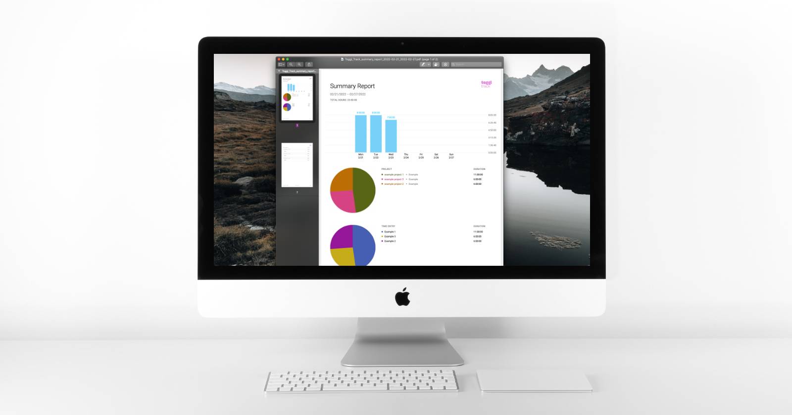 Компьютер с открытым отчётом на экране