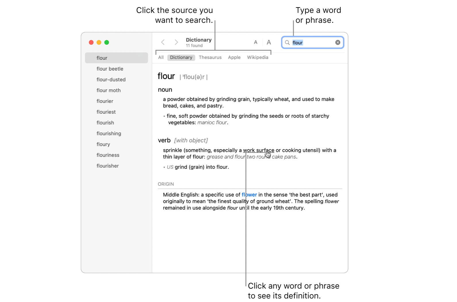 Функции приложения Словарь