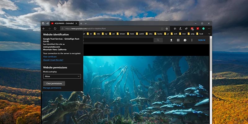 Как отключить автозапуск видео в Microsoft Edge