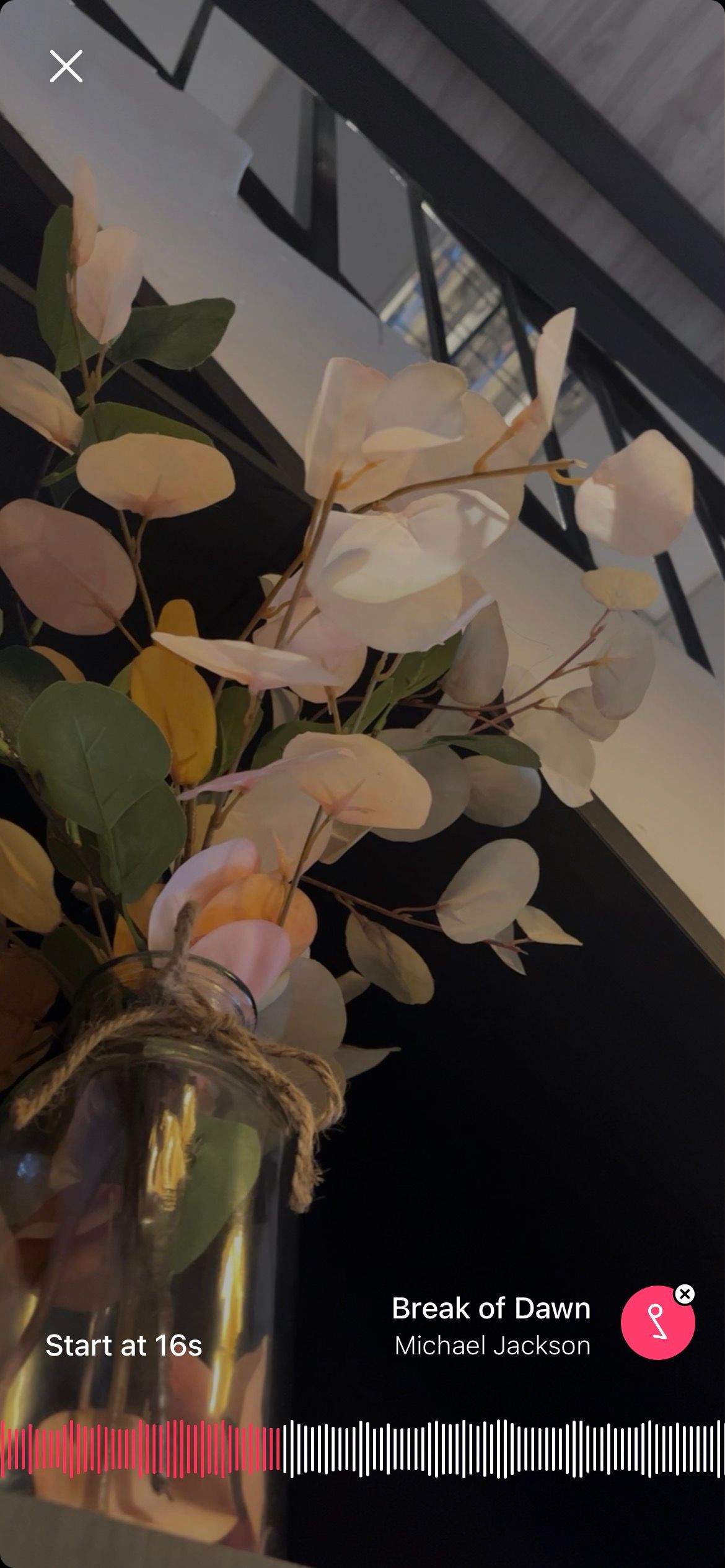 выбор секции музыки в Spark Camera