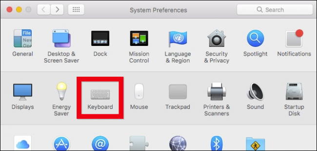 Системные настройки клавиатуры в macOS