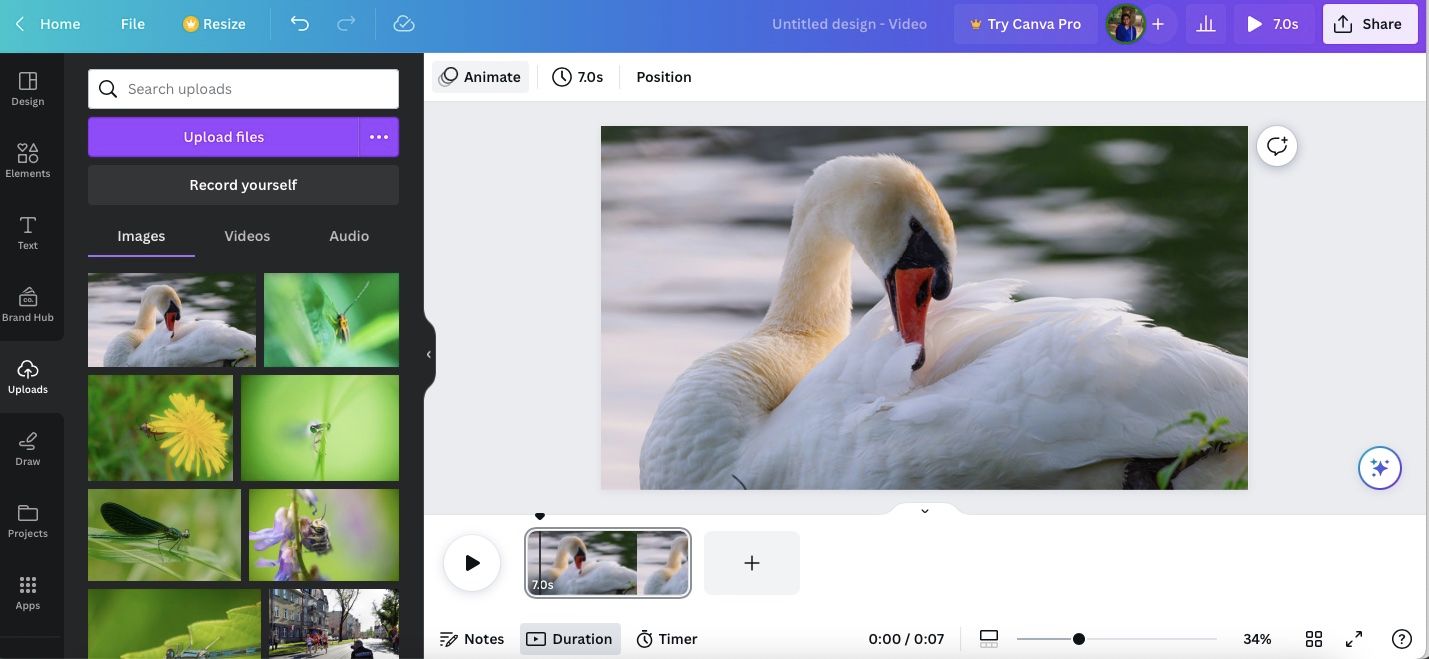 Анимация в Canva: пример интерфейса