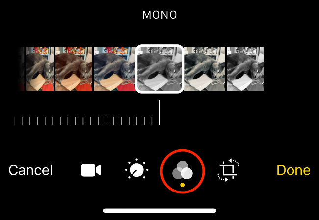 Применение фильтров к видео в приложении «Фото»