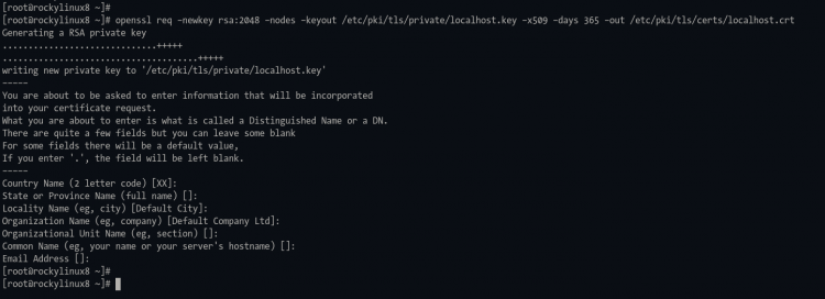Генерация локального SSL