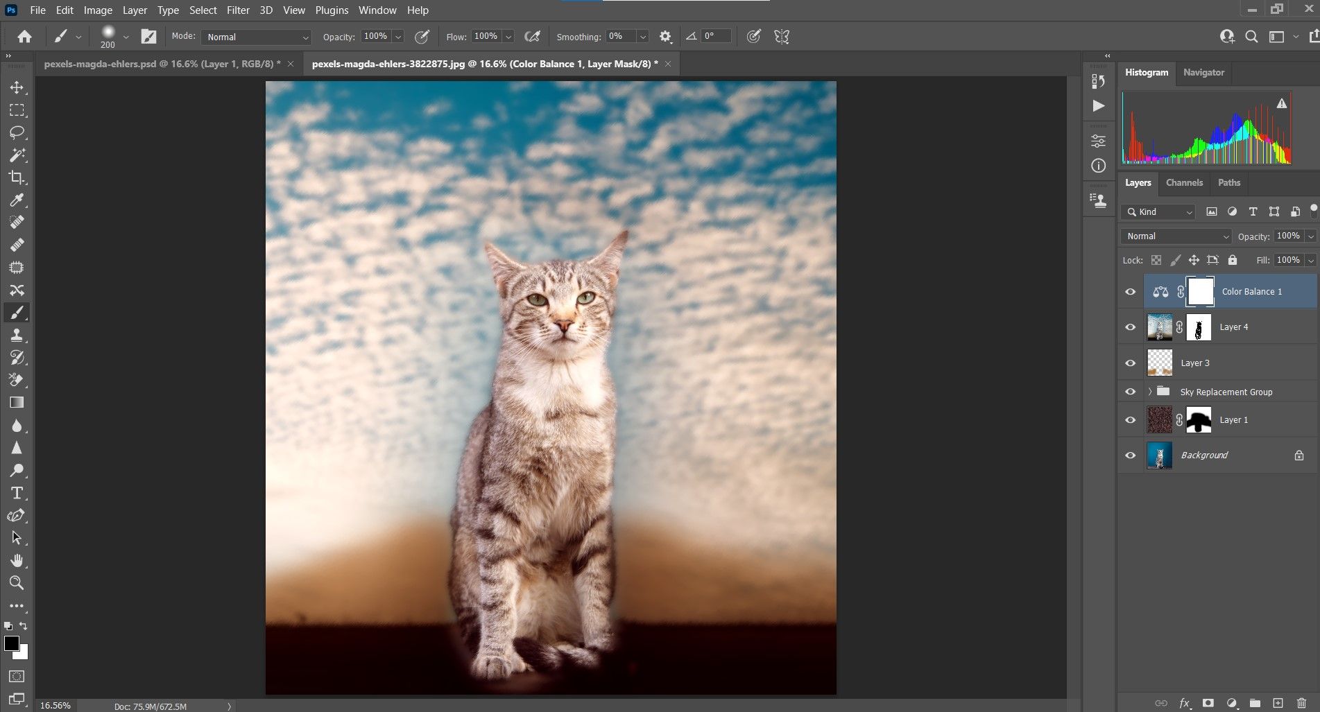 Кот превращён в пейзажную живопись с небом и горами