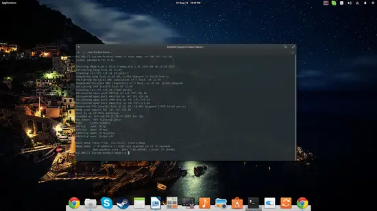 Ping-сканирование и список открытых портов.