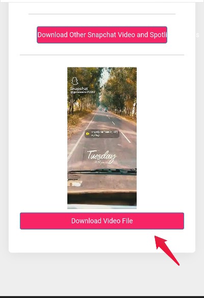 Кнопка Download Video File на сайте