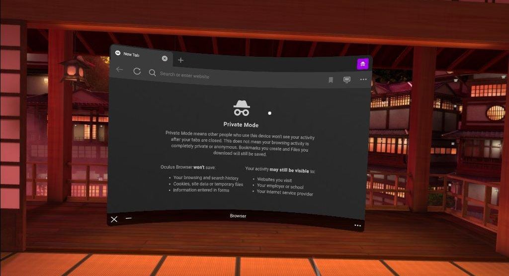 Приватный режим в Oculus Quest 2
