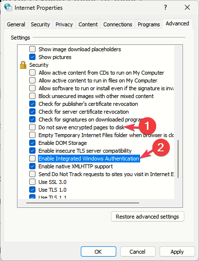 Параметры безопасности: «Не сохранять зашифрованные страницы на диск» и «Включить встроенную аутентификацию Windows»