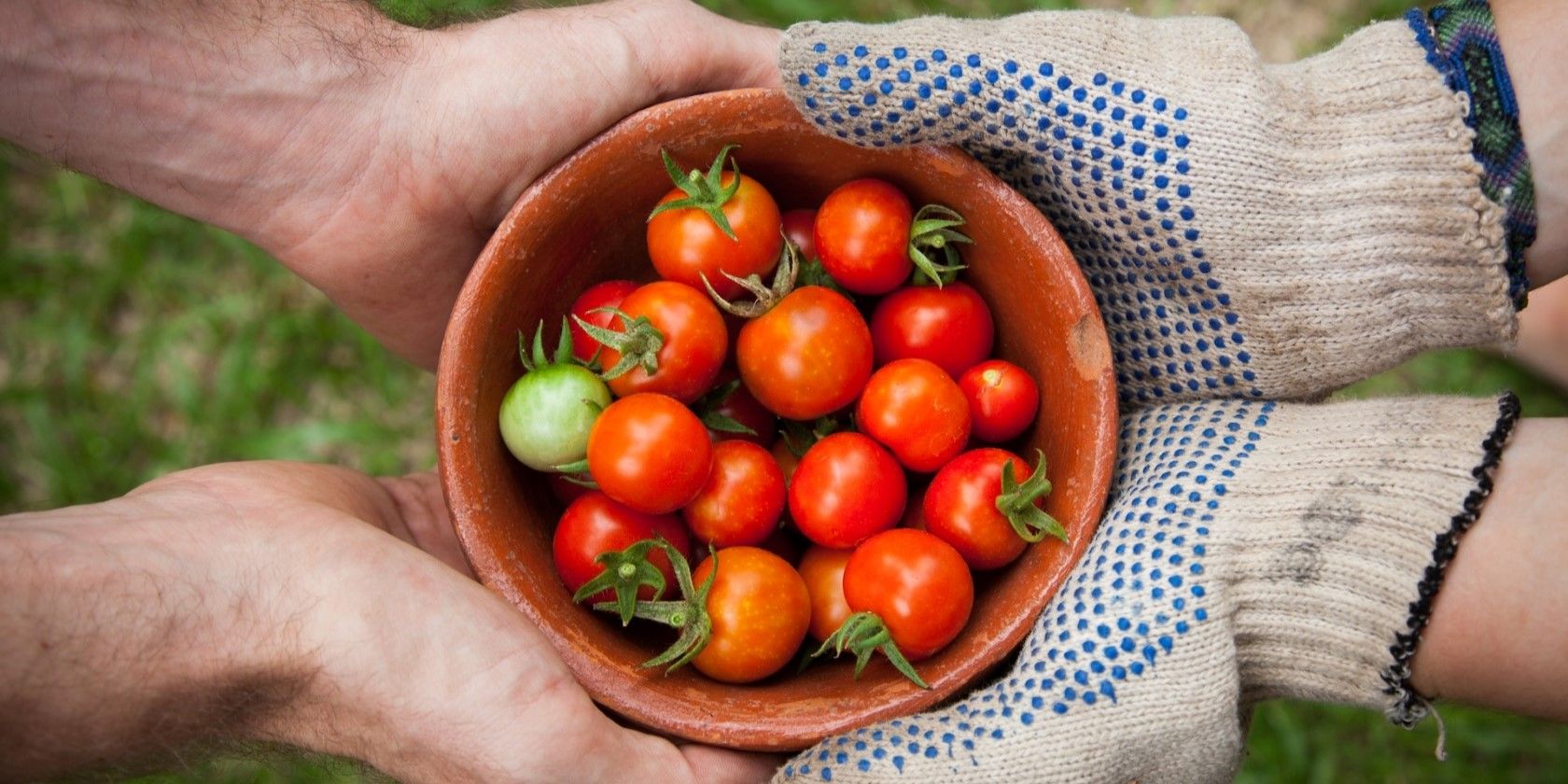 Как питаться здорово и устойчиво: практическое руководство