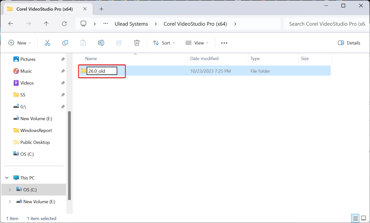 Переименованная папка с суффиксом _old