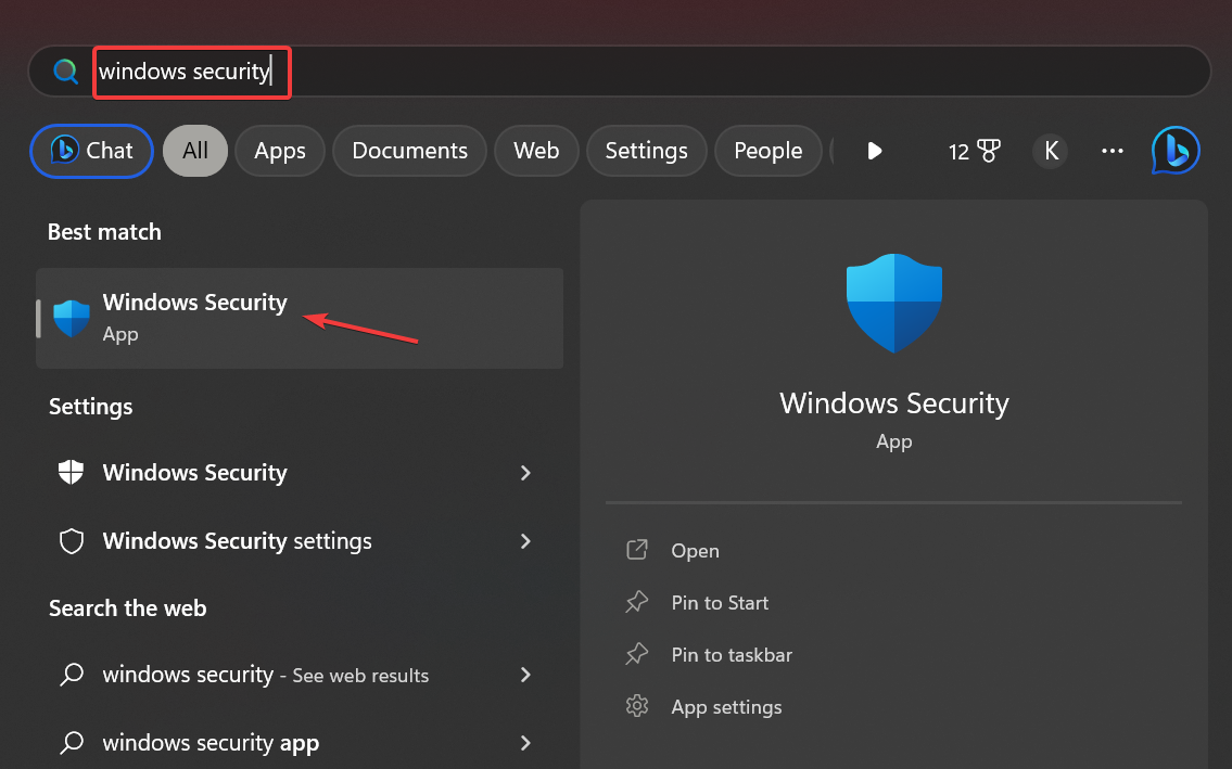 Окно Windows Security