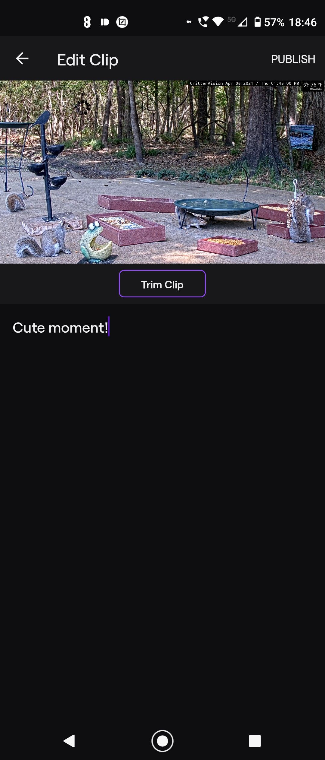 Публикация клипа в приложении Twitch: кнопка публикации и подтверждение
