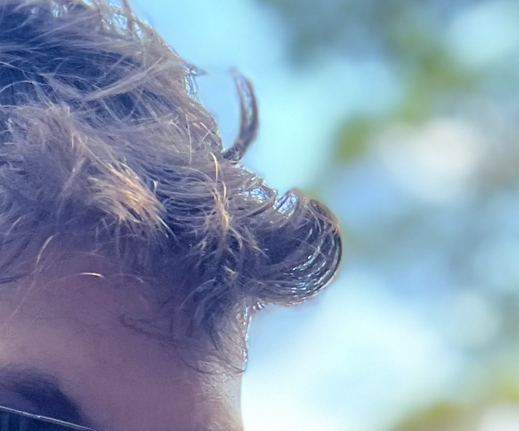 Портретный режим неудачно отделяет волосы от фона.