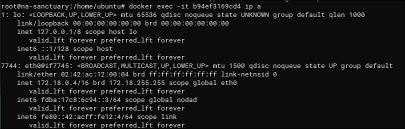 Вывод команды ip a внутри контейнера с интерфейсами и IP-адресами