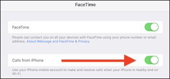Скриншот экрана вызова на iPad: кнопка