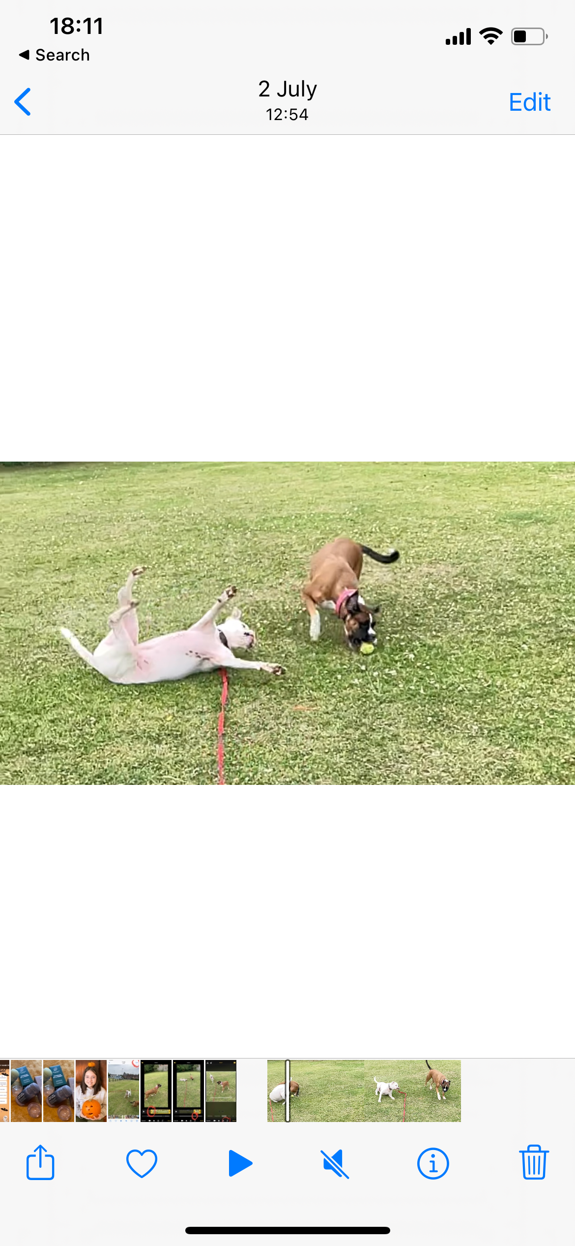 screenshot showing how to undo changes made on an iPhone video with the edit option circled