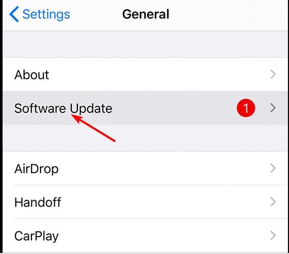 iPhoneの一般設定でソフトウェア・アップデートを表示している画面