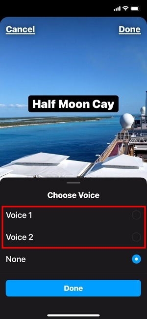 Instagram Reels Voice Select Voice