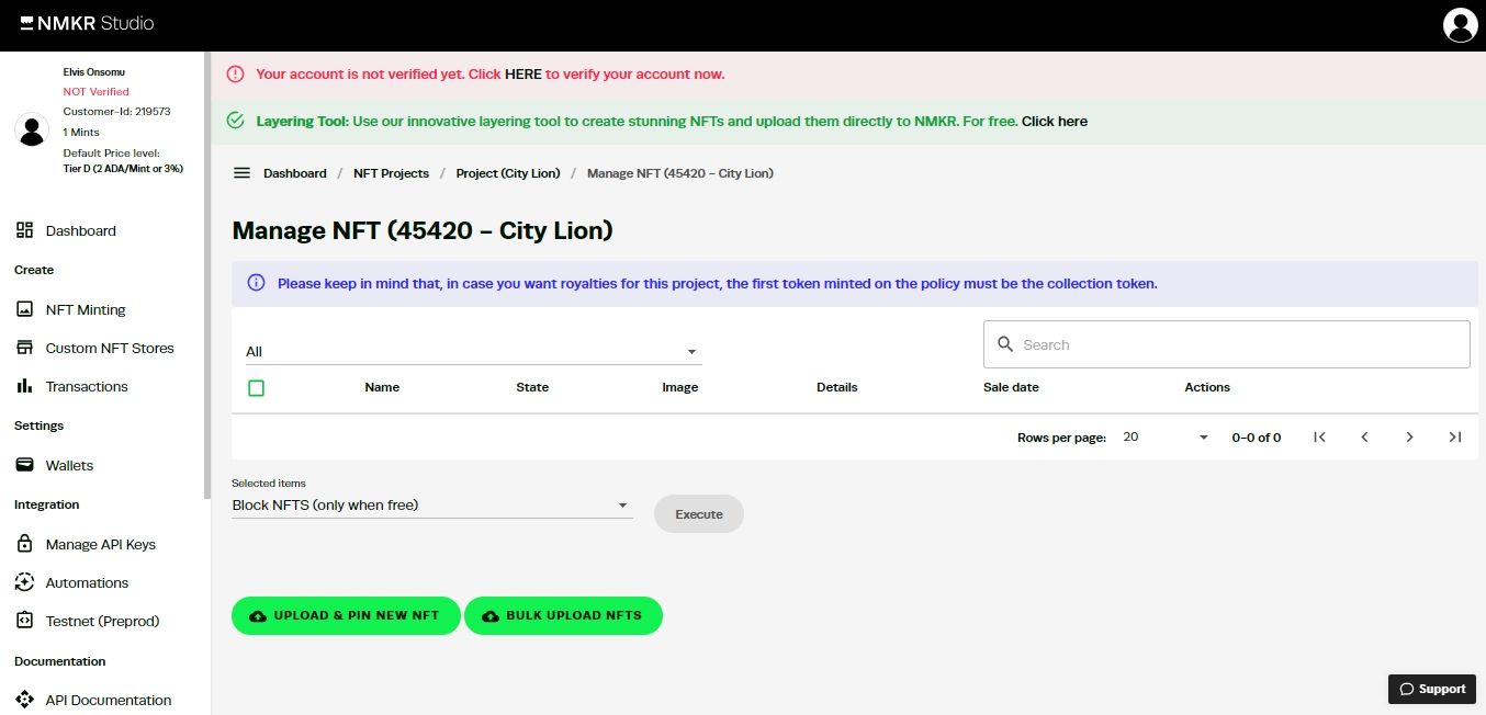 Скриншот NMKR: загрузка и закрепление нового NFT