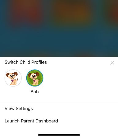 view settings option