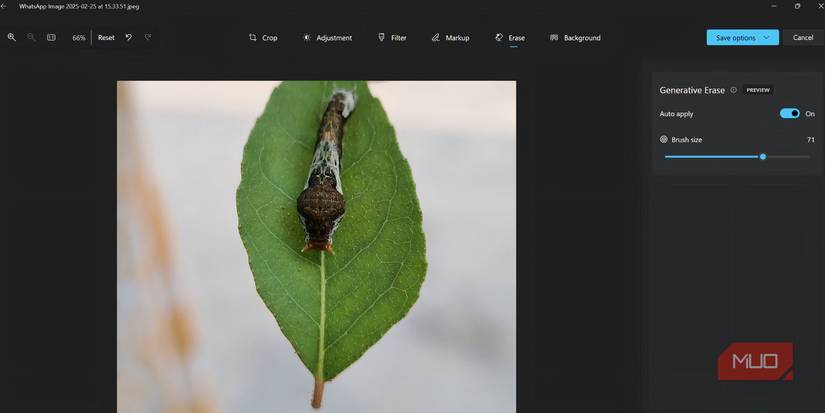 Тест Generative Erase на фотографии листа с насекомым