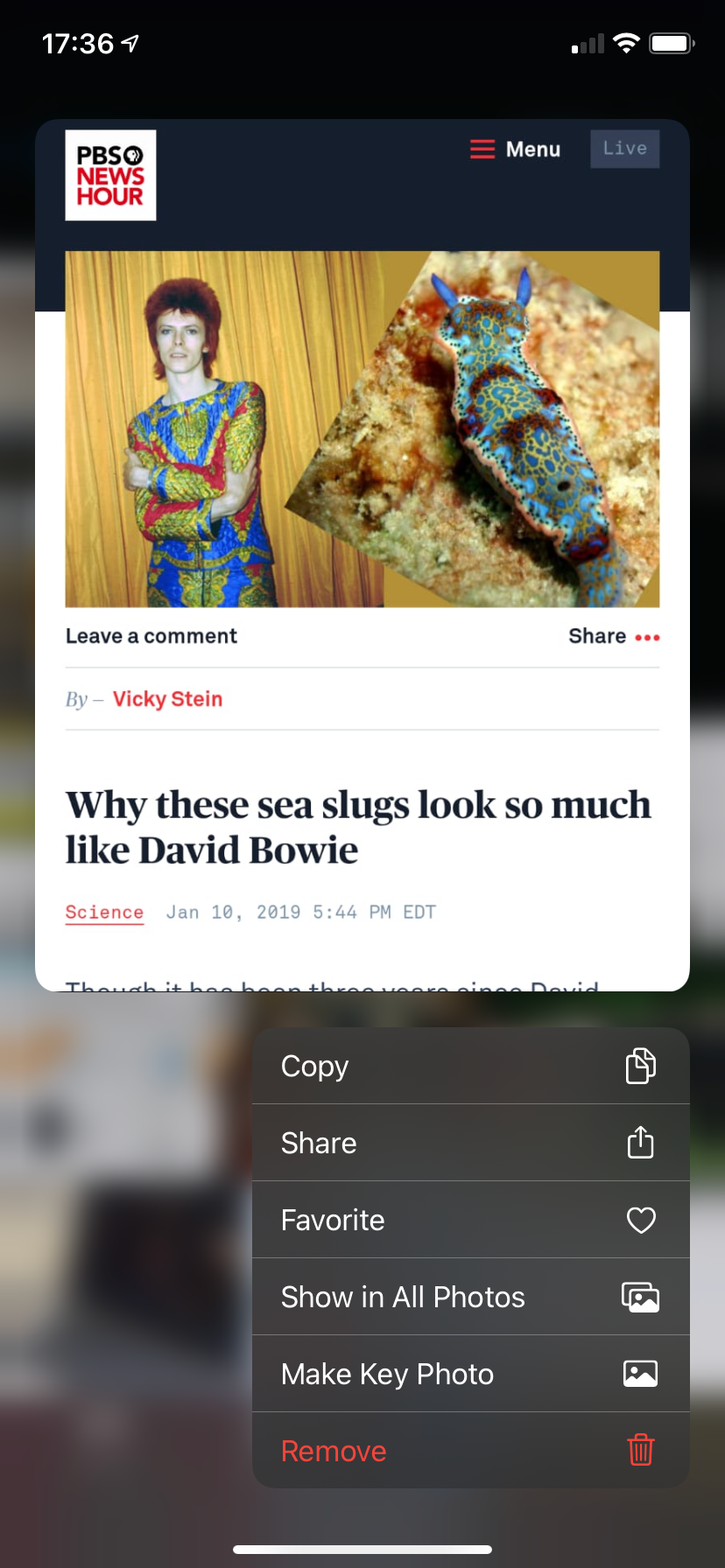 Экран общего доступа iPhone для изображения