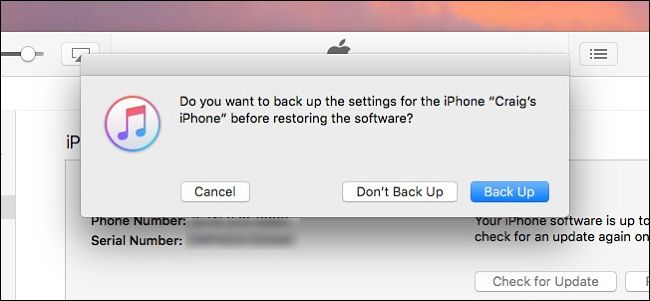 iTunes: всплывающее окно с предложением создать резервную копию — опция 'Don't Back Up'
