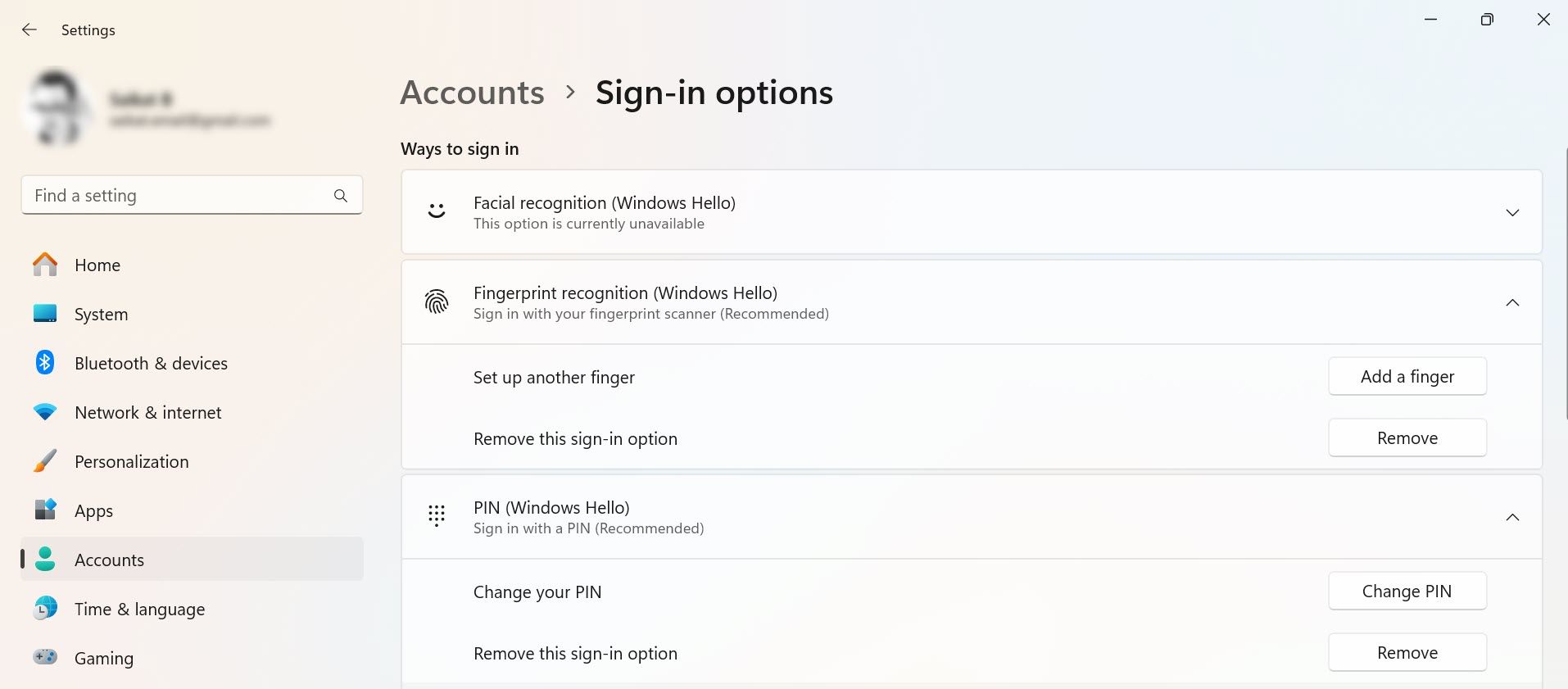 Параметры входа Windows 11 с кнопкой Удалить рядом с методом входа