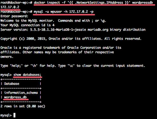 WordPress в Docker с MariaDB и Nginx — установка