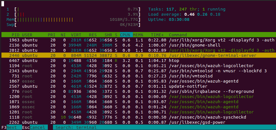 Поиск программы в терминале htop