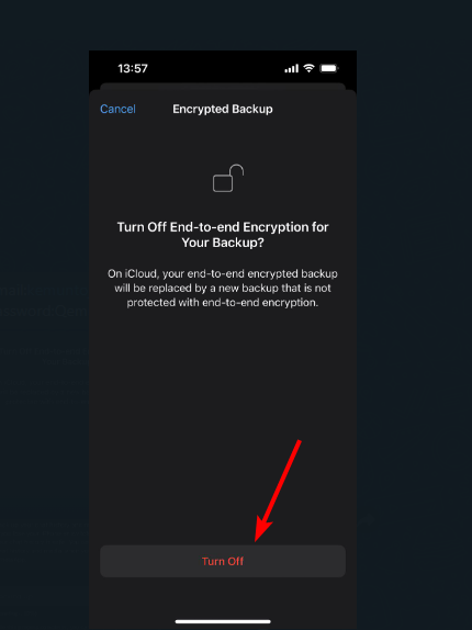 Ввод ключа безопасности для отключения шифрования на iPhone